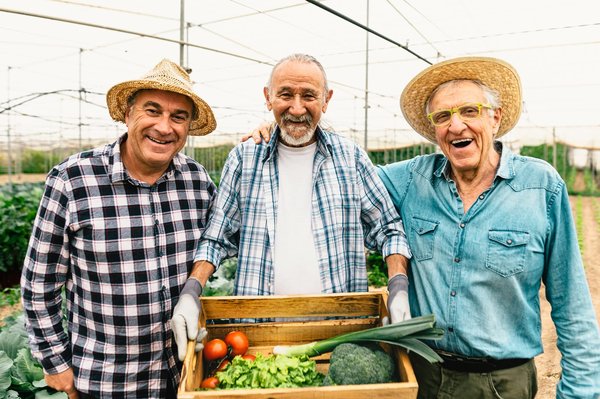 Comment créer une coopérative de producteurs locaux pour renforcer l'économie agricole de votre région ?
